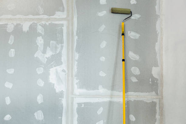 Best Forensic Mold Investigation  in Gifford, FL