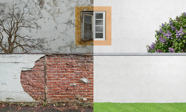 Best Emergency Mold Remediation  in Gifford, FL