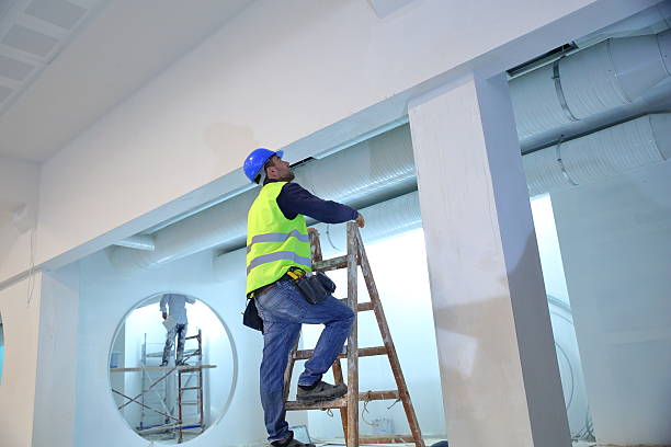 Best Emergency Mold Remediation  in Gifford, FL